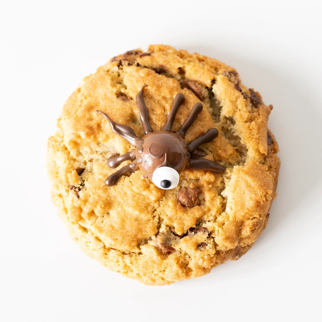 Spooky and Spider Cookies